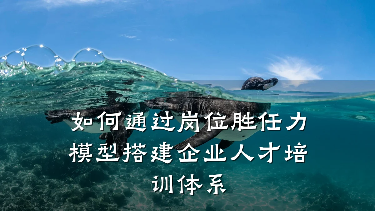 如何通过岗位胜任力模型搭建企业人才培训体系