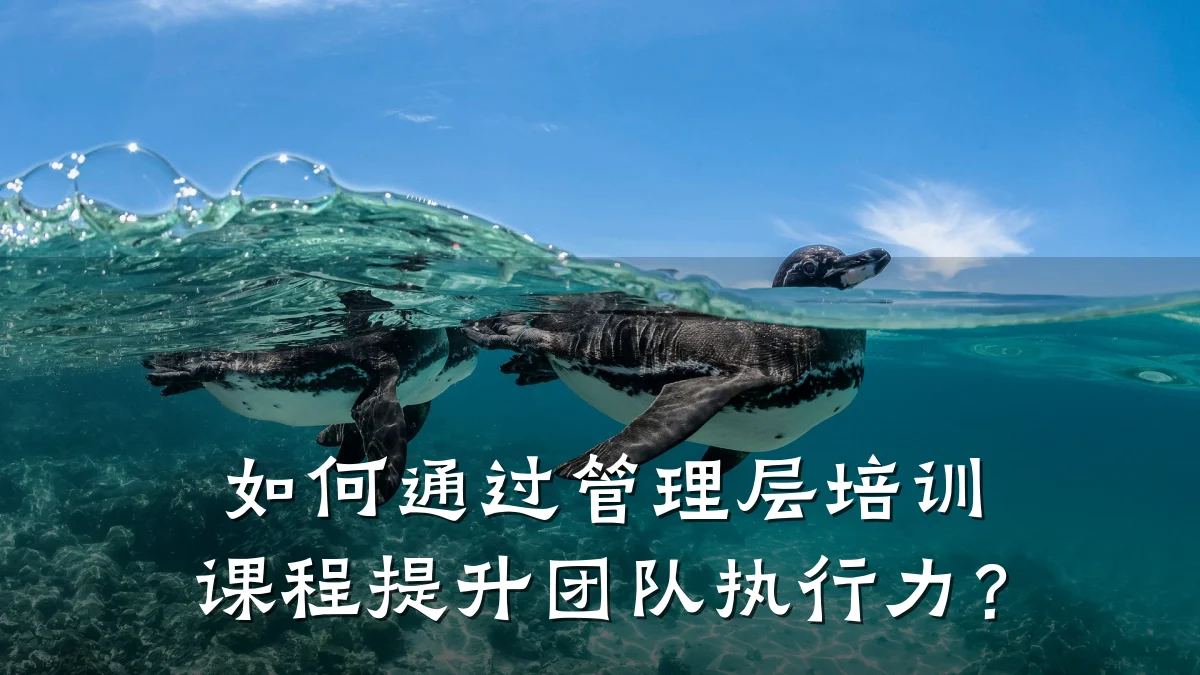 如何通过管理层培训课程提升团队执行力?