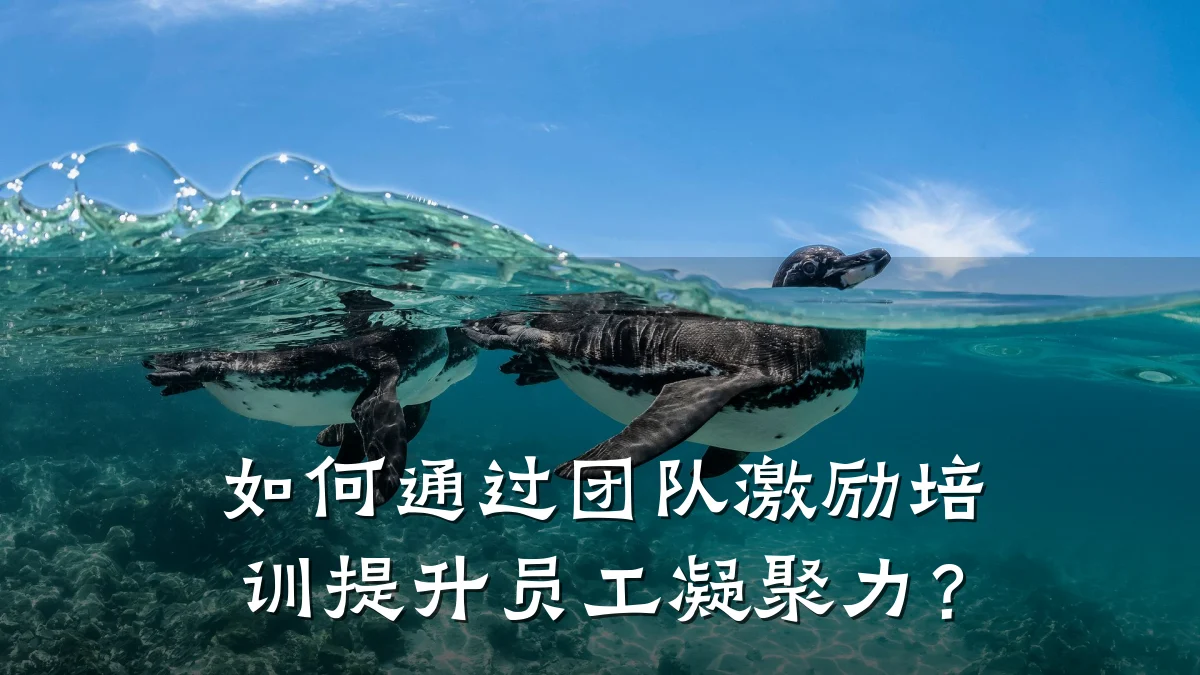 如何通过团队激励培训提升员工凝聚力?