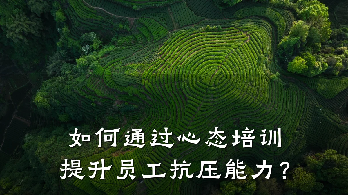 如何通过心态培训提升员工抗压能力?