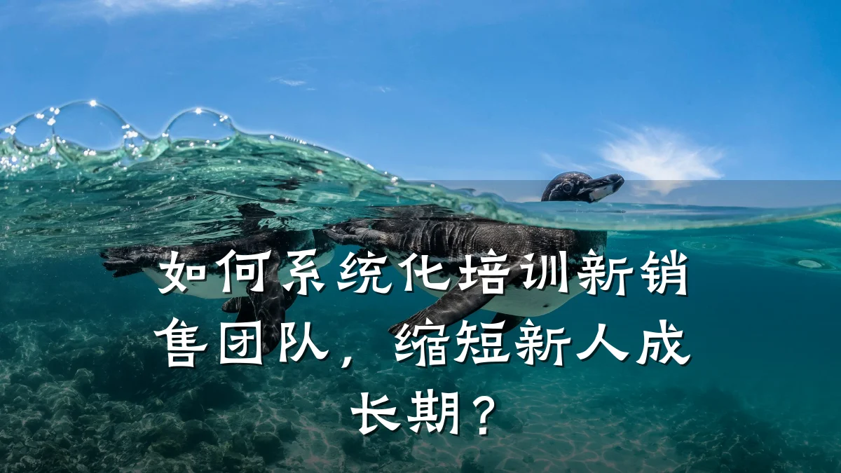 如何系统化培训新销售团队,缩短新人成长期?