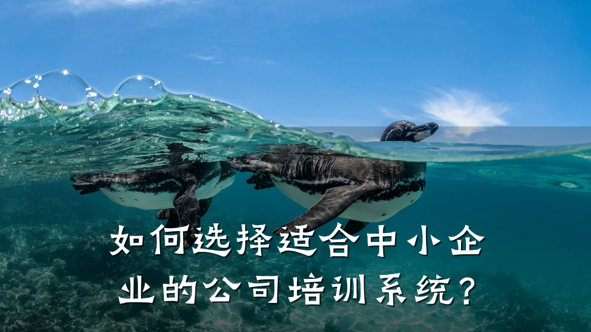 如何选择适合中小企业的公司培训系统?