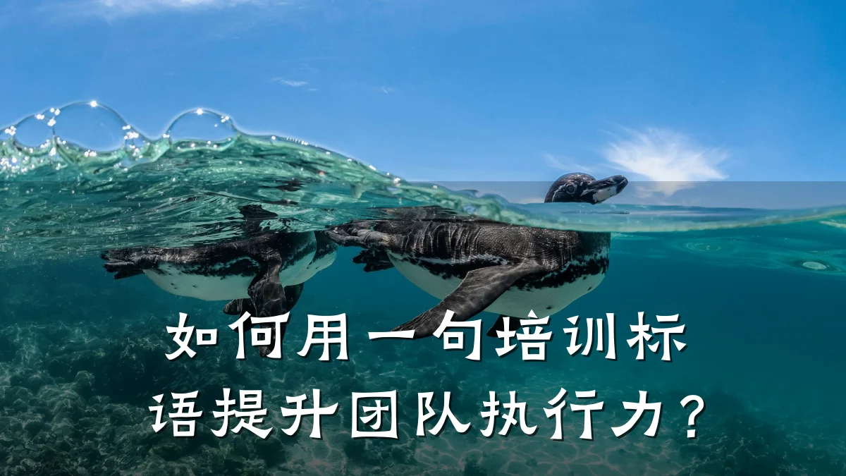 如何用一句培训标语提升团队执行力?