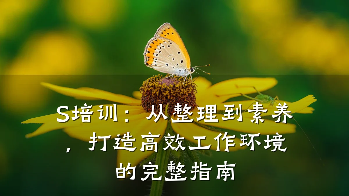 S培训:从整理到素养,打造高效工作环境的完整指南