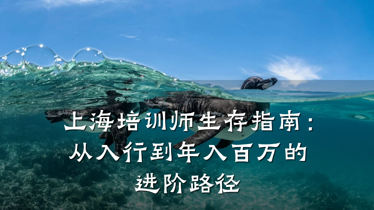 上海培训师生存指南:从入行到年入百万的进阶路径