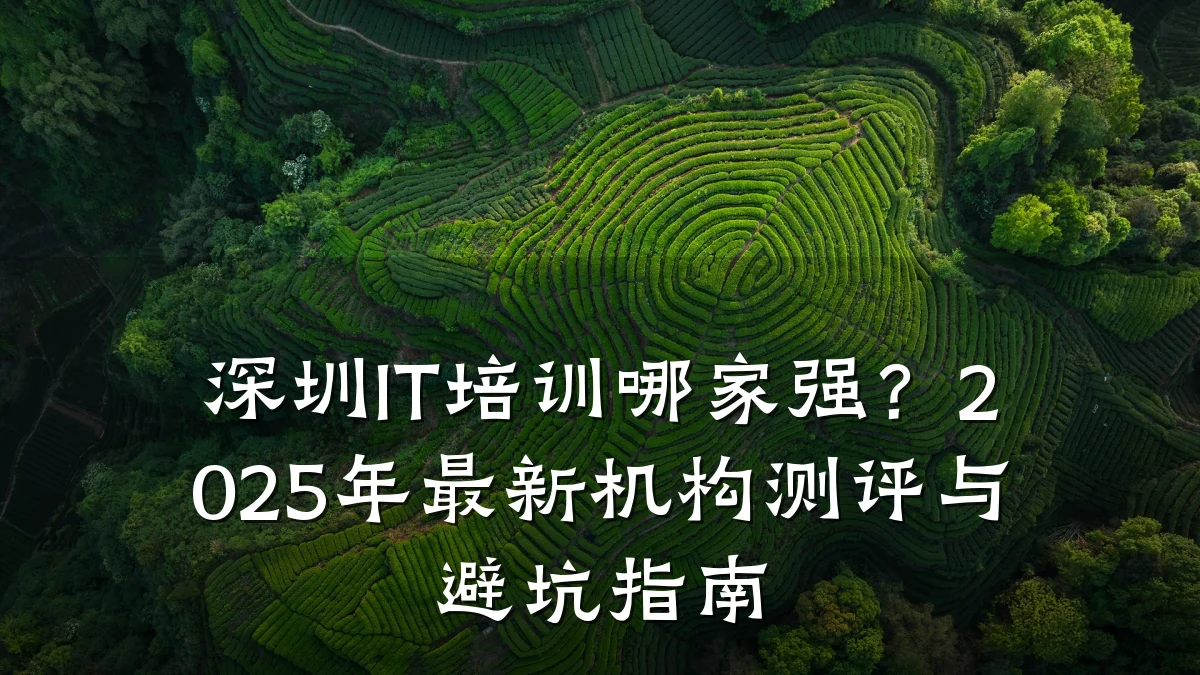 深圳IT培训哪家强?2025年最新机构测评与避坑指南