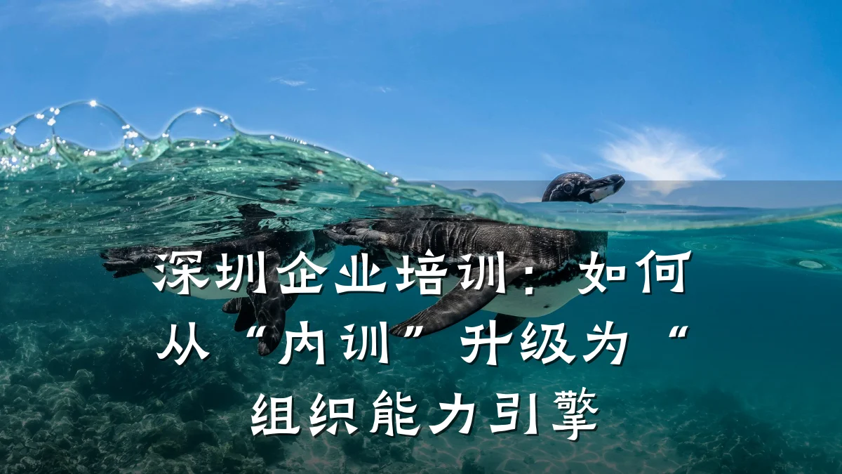 深圳企业培训:如何从“内训”升级为“组织能力引擎