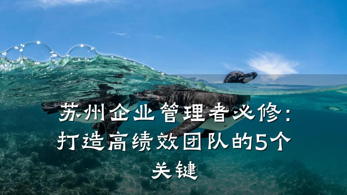 苏州企业管理者必修:打造高绩效团队的5个关键