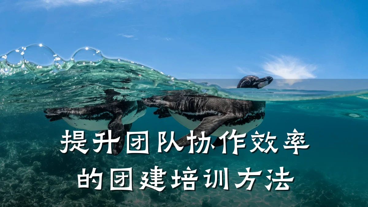 提升团队协作效率的团建培训方法