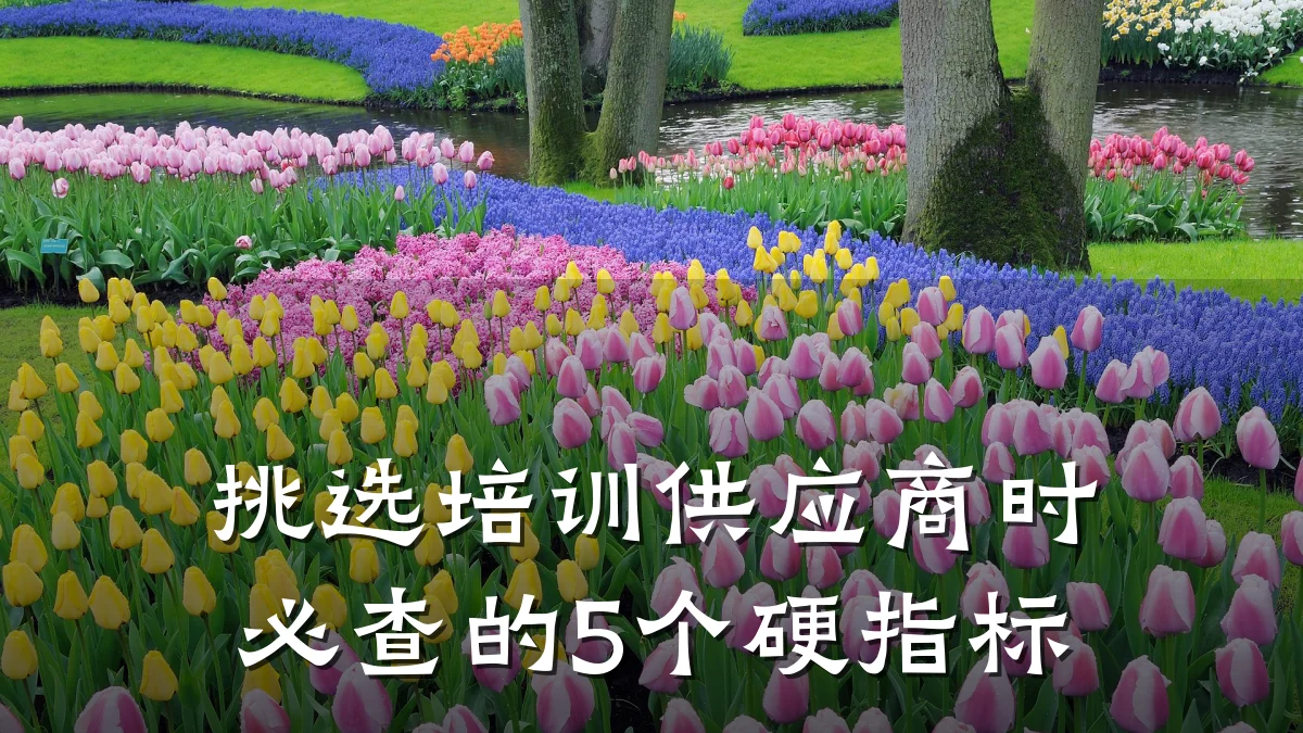 挑选培训供应商时必查的5个硬指标