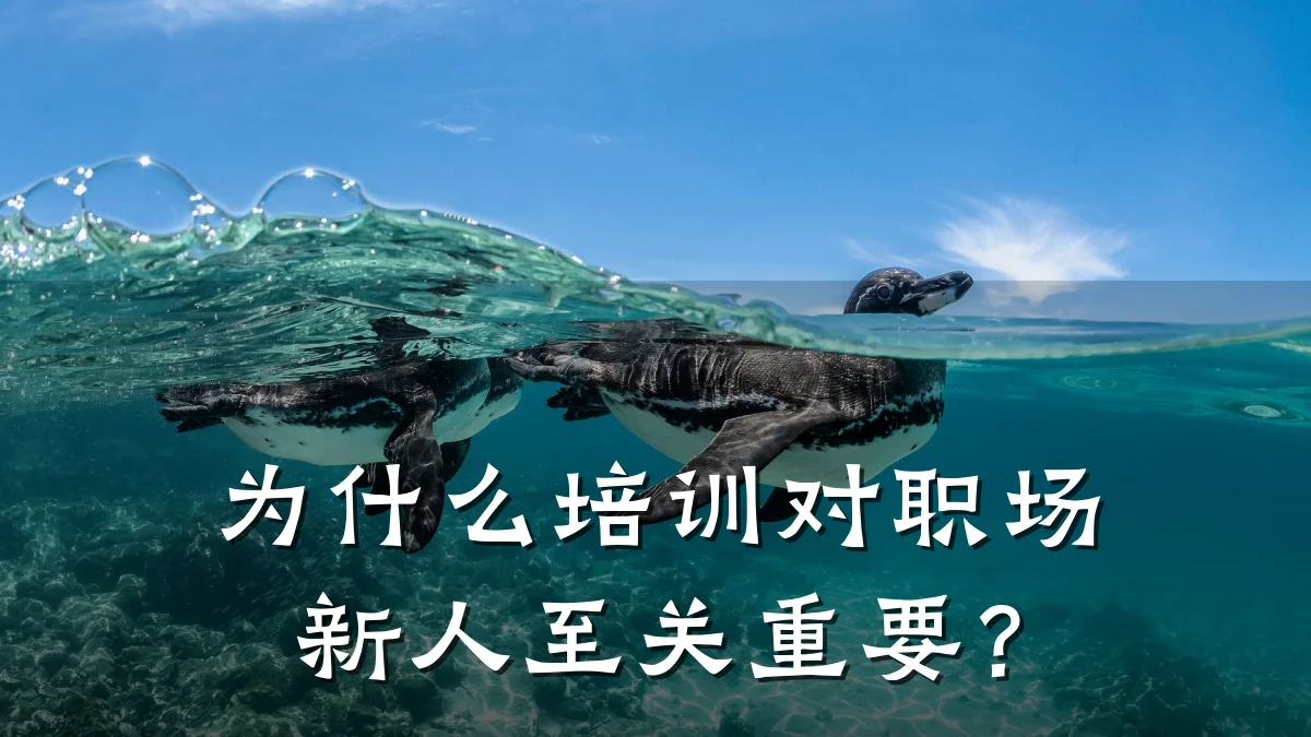 为什么培训对职场新人至关重要?