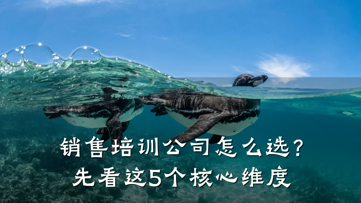 销售培训公司怎么选?先看这5个核心维度