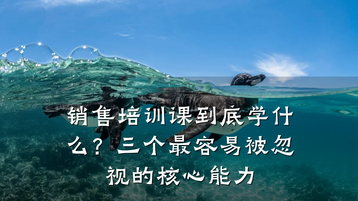 销售培训课到底学什么?三个最容易被忽视的核心能力