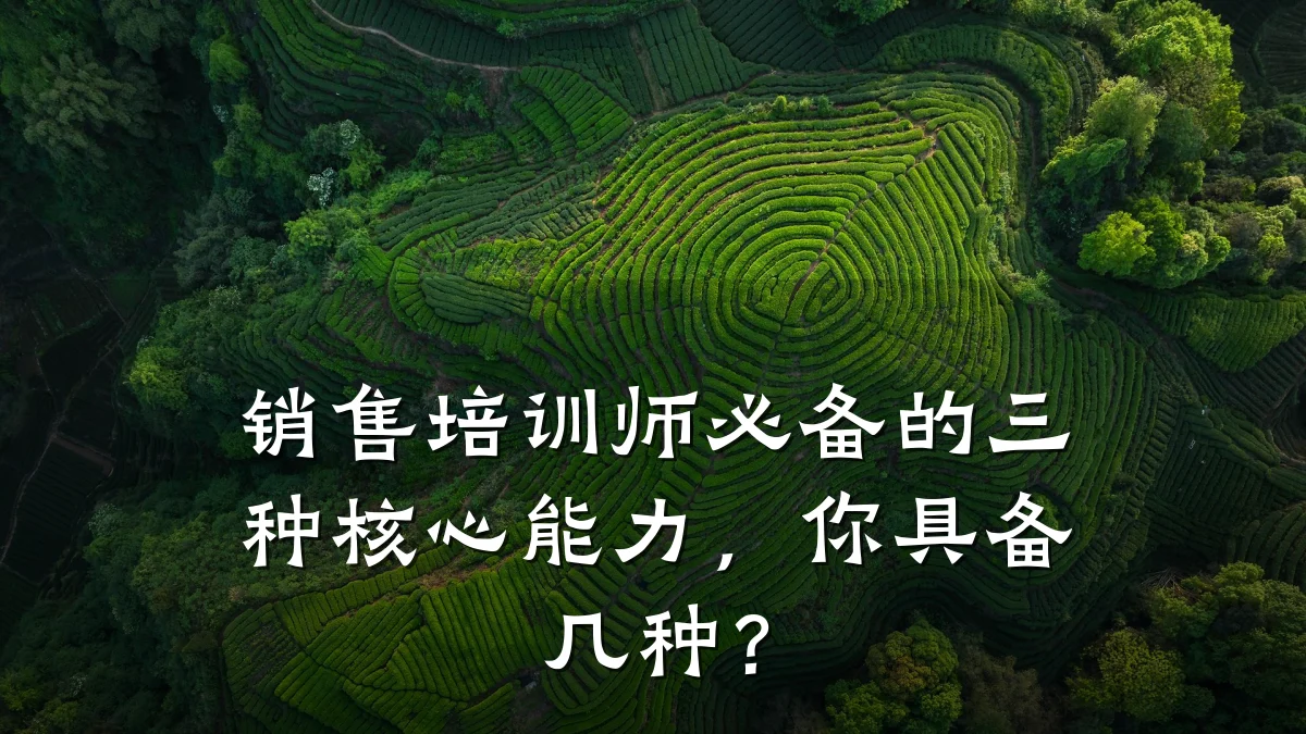 销售培训师必备的三种核心能力,你具备几种?