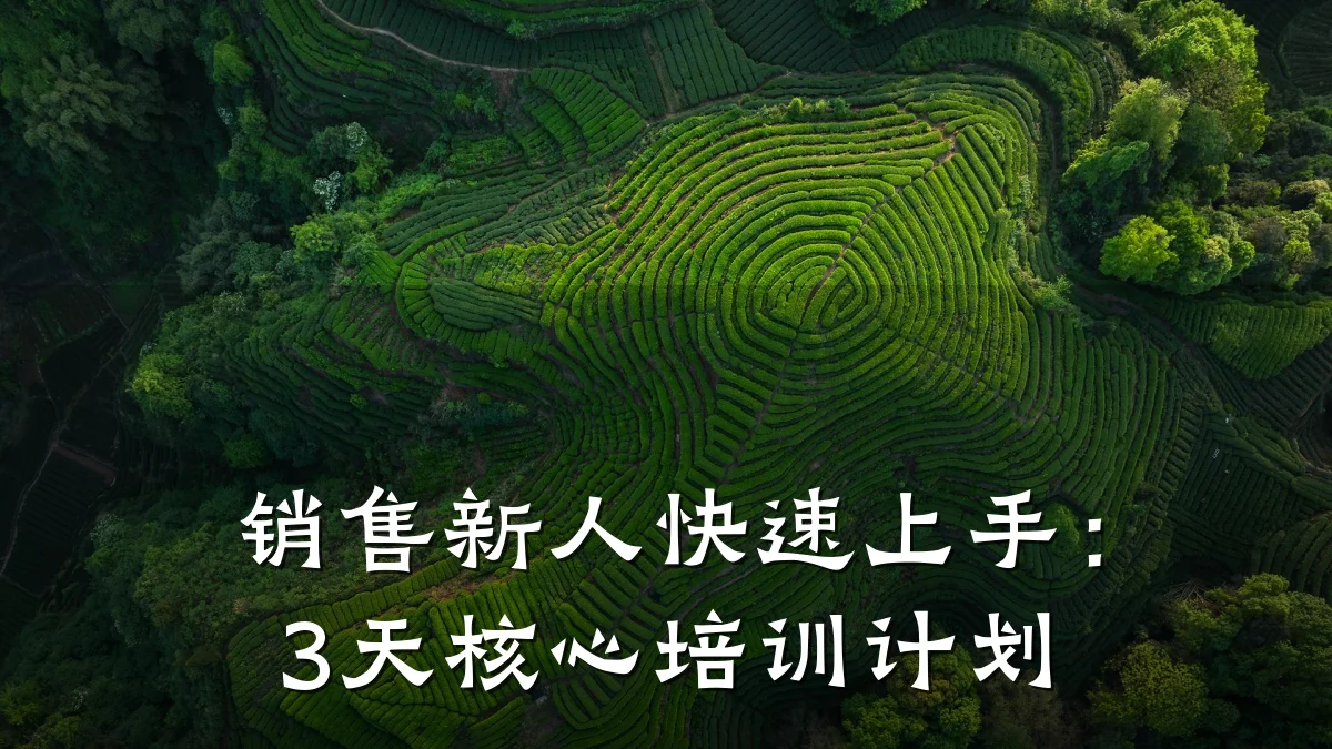 销售新人快速上手:3天核心培训计划