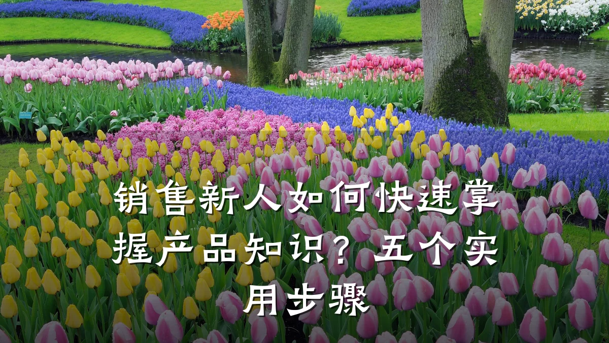 销售新人如何快速掌握产品知识?五个实用步骤
