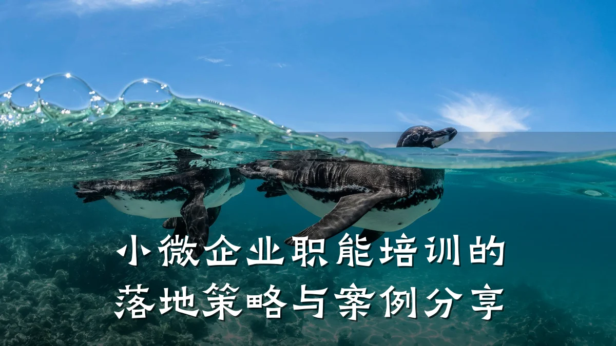 小微企业职能培训的落地策略与案例分享