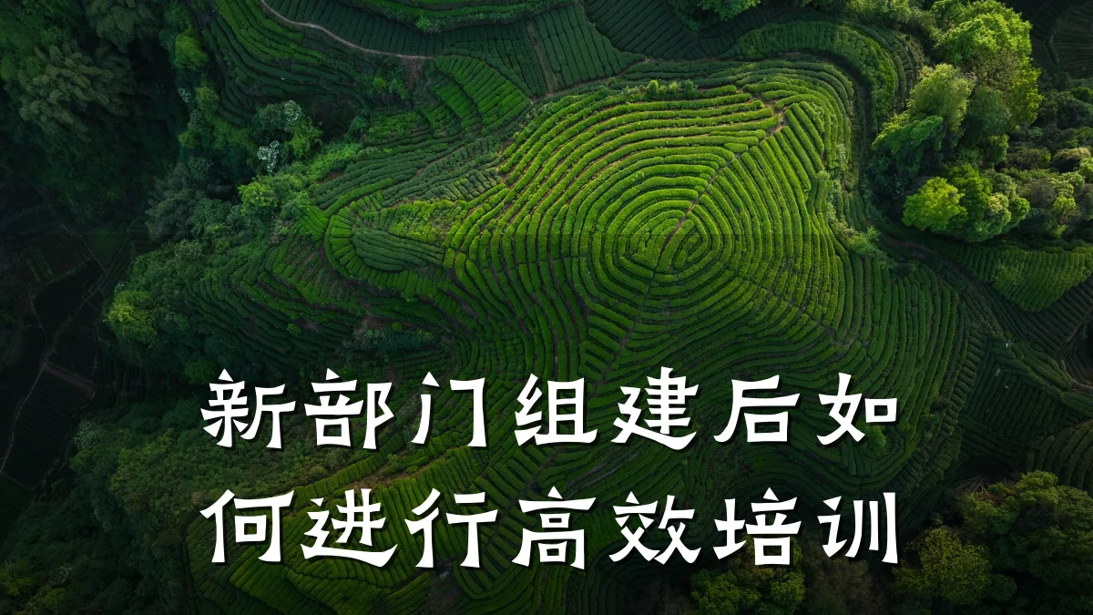 新部门组建后如何进行高效培训