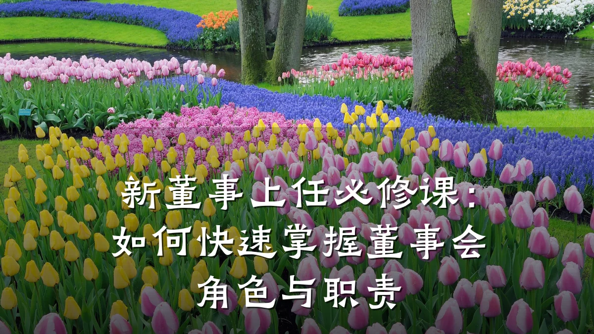 新董事上任必修课:如何快速掌握董事会角色与职责