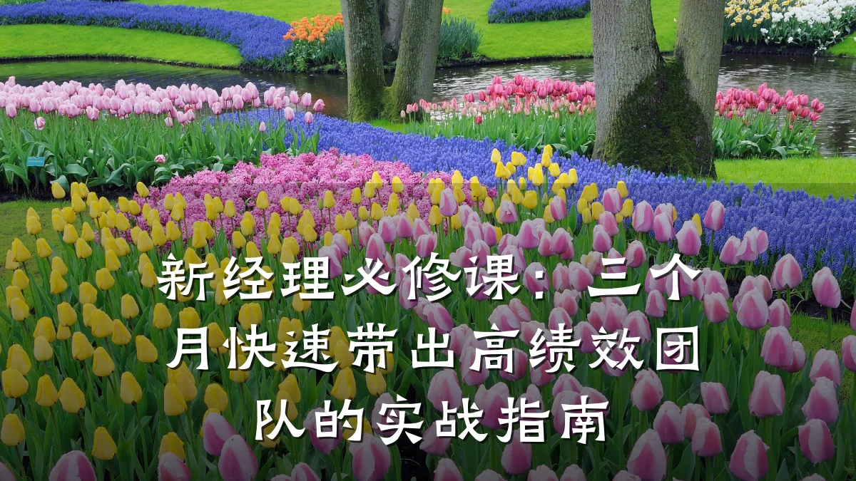 新经理必修课:三个月快速带出高绩效团队的实战指南