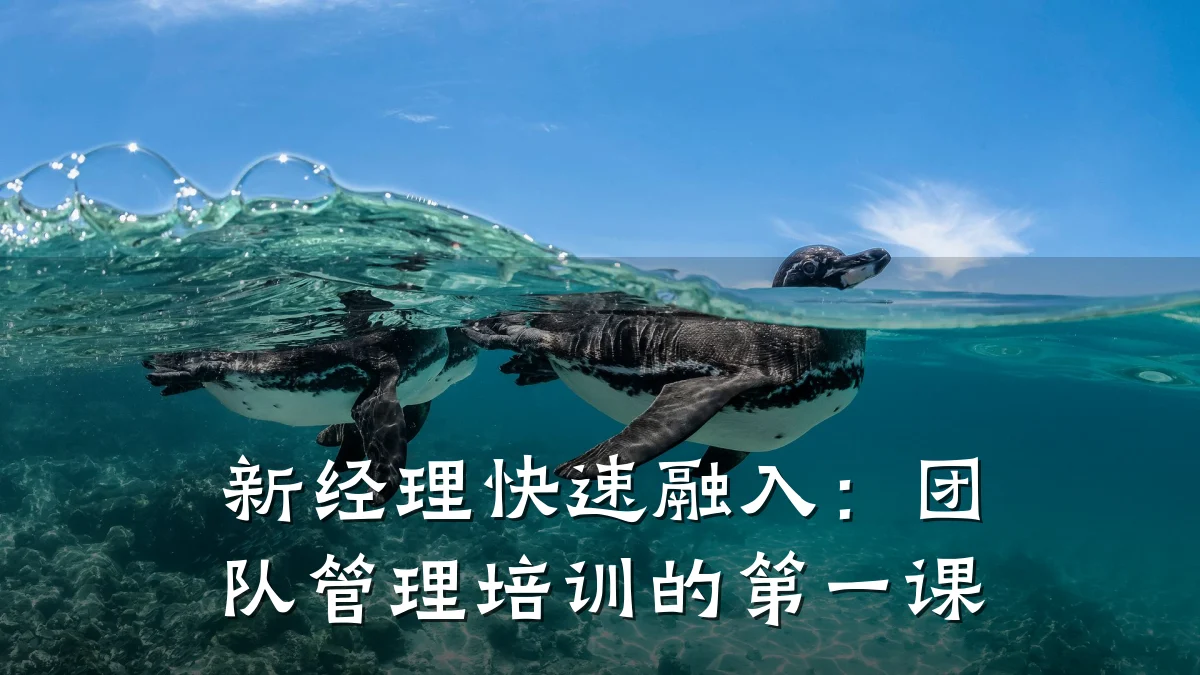 新经理快速融入:团队管理培训的第一课