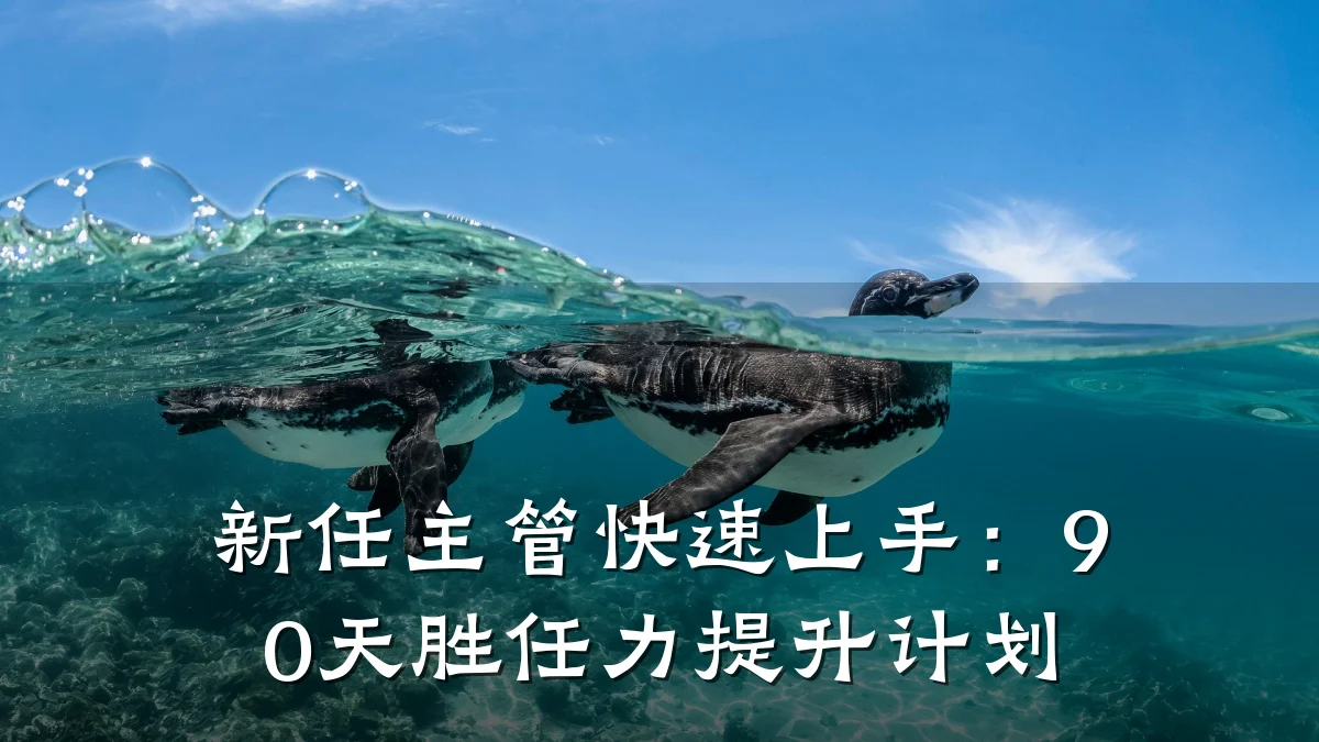 新任主管快速上手:90天胜任力提升计划