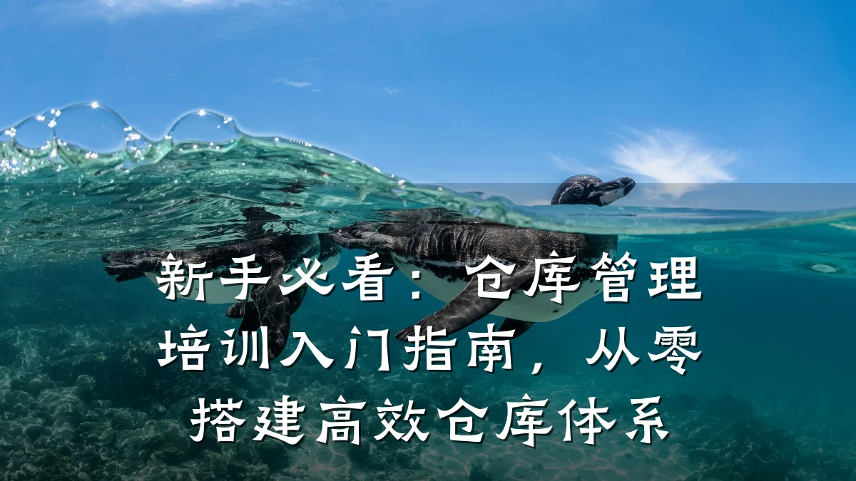 新手必看:仓库管理培训入门指南,从零搭建高效仓库体系