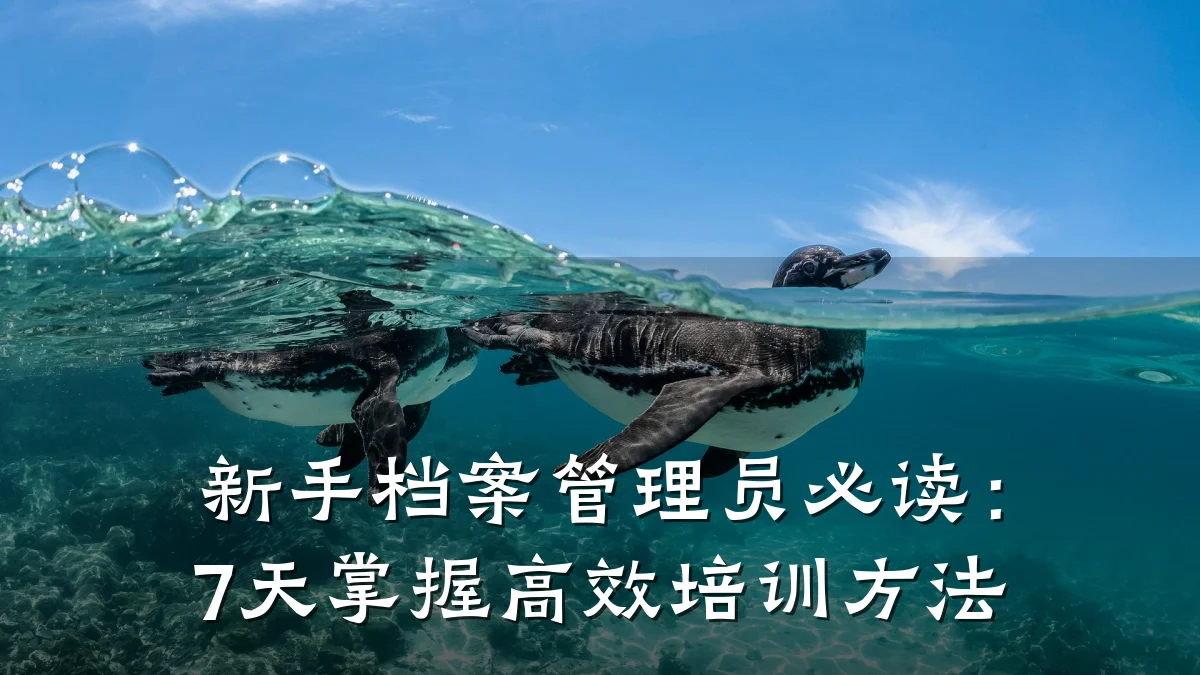 新手档案管理员必读:7天掌握高效培训方法