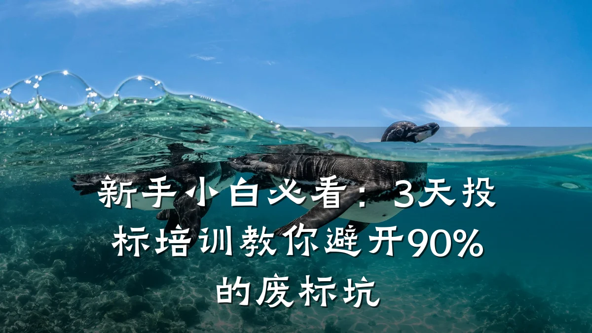 新手小白必看:3天投标培训教你避开90%的废标坑