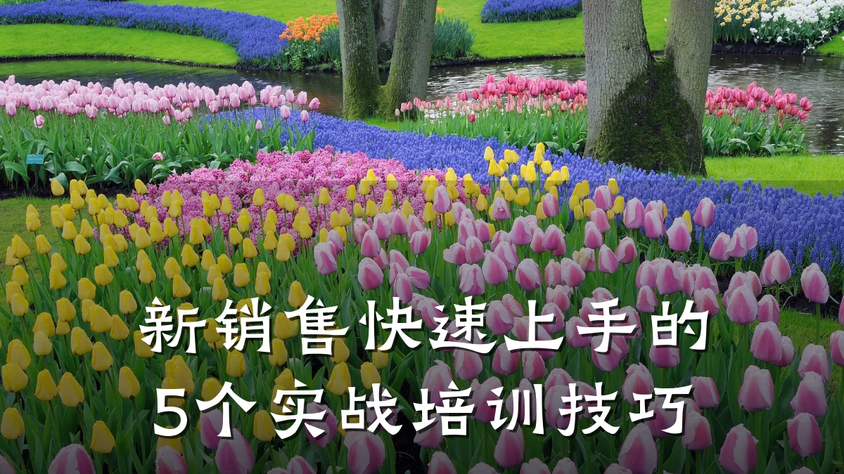 新销售快速上手的5个实战培训技巧