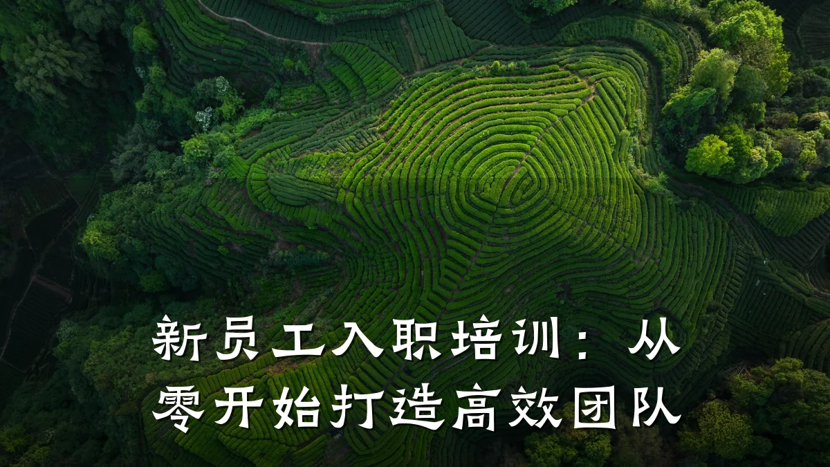 新员工入职培训:从零开始打造高效团队