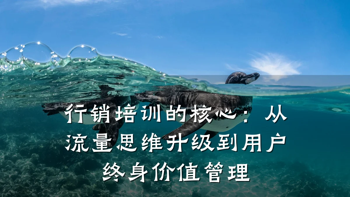 行销培训的核心:从流量思维升级到用户终身价值管理