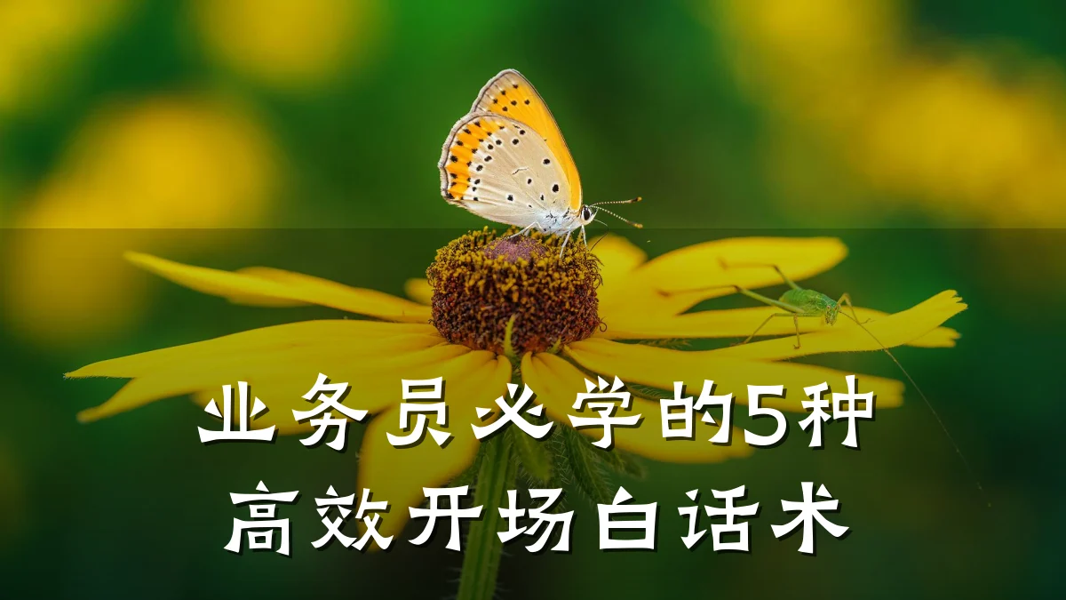 业务员必学的5种高效开场白话术