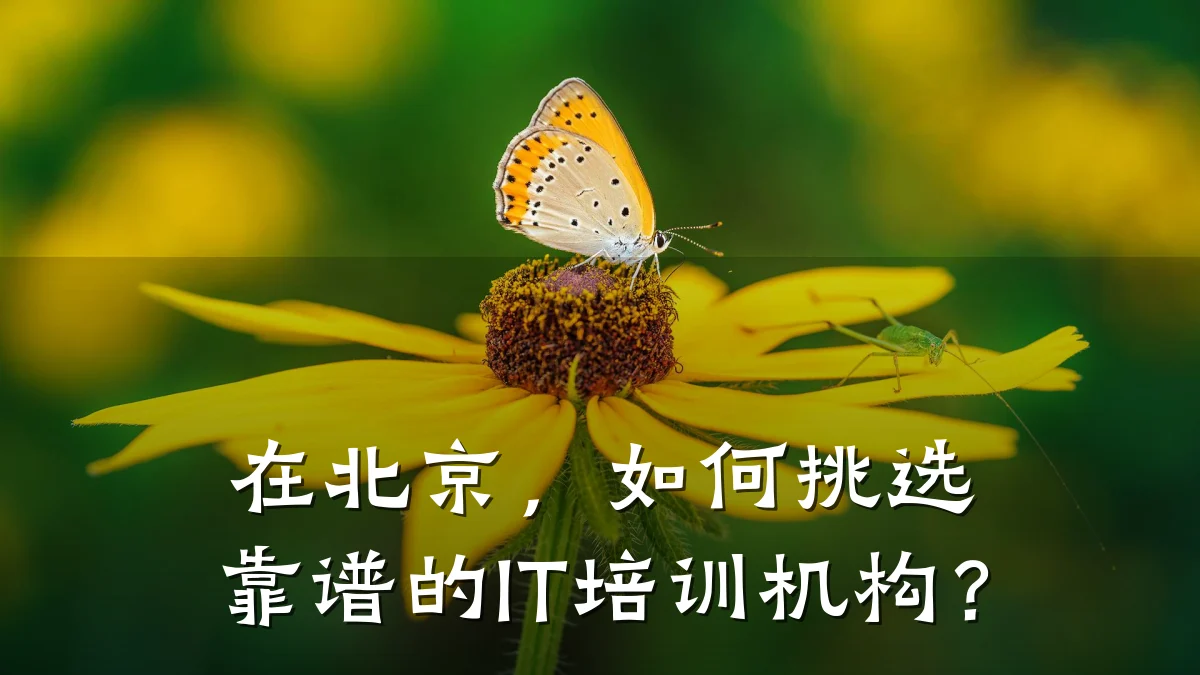 在北京,如何挑选靠谱的IT培训机构?