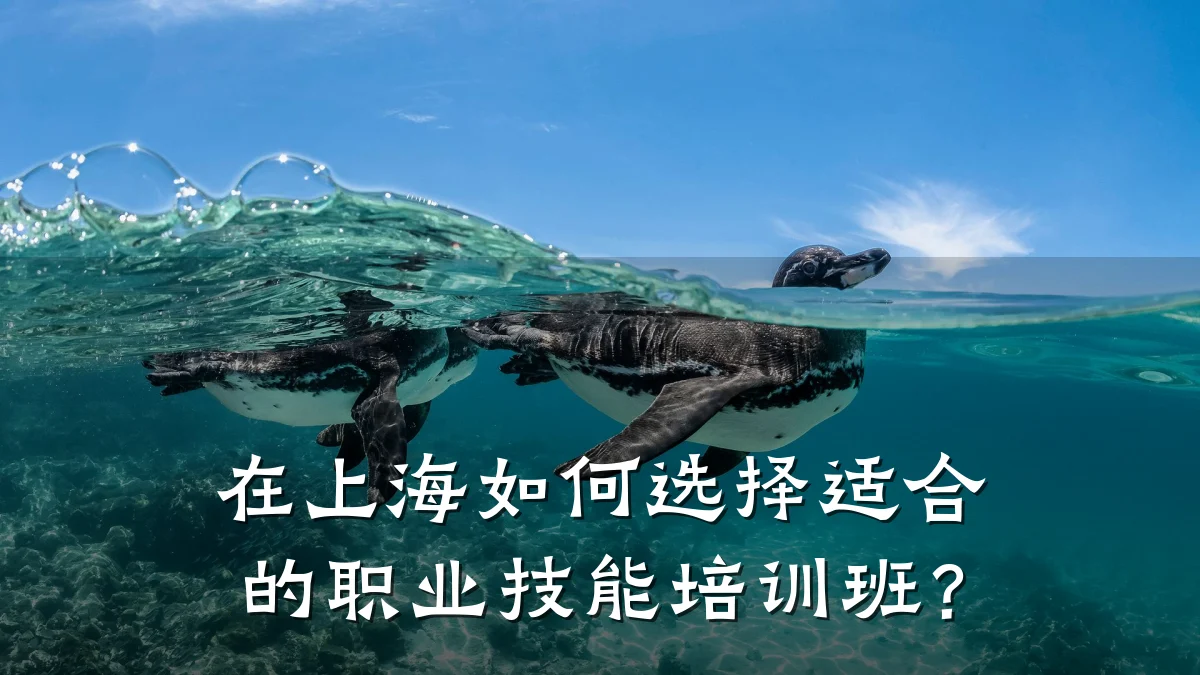 在上海如何选择适合的职业技能培训班?