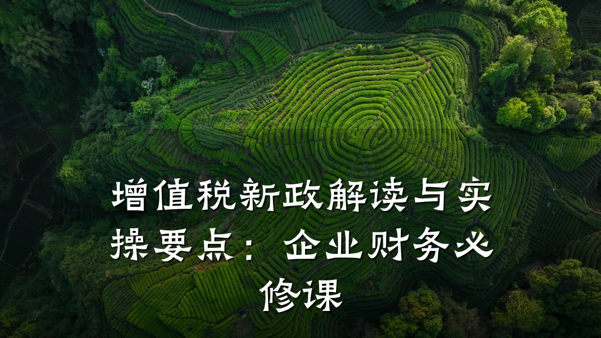 增值税新政解读与实操要点:企业财务必修课