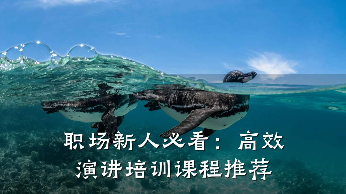 职场新人必看:高效演讲培训课程推荐