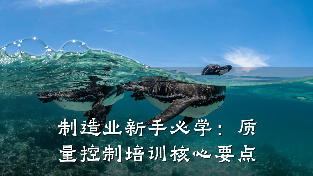 制造业新手必学:质量控制培训核心要点
