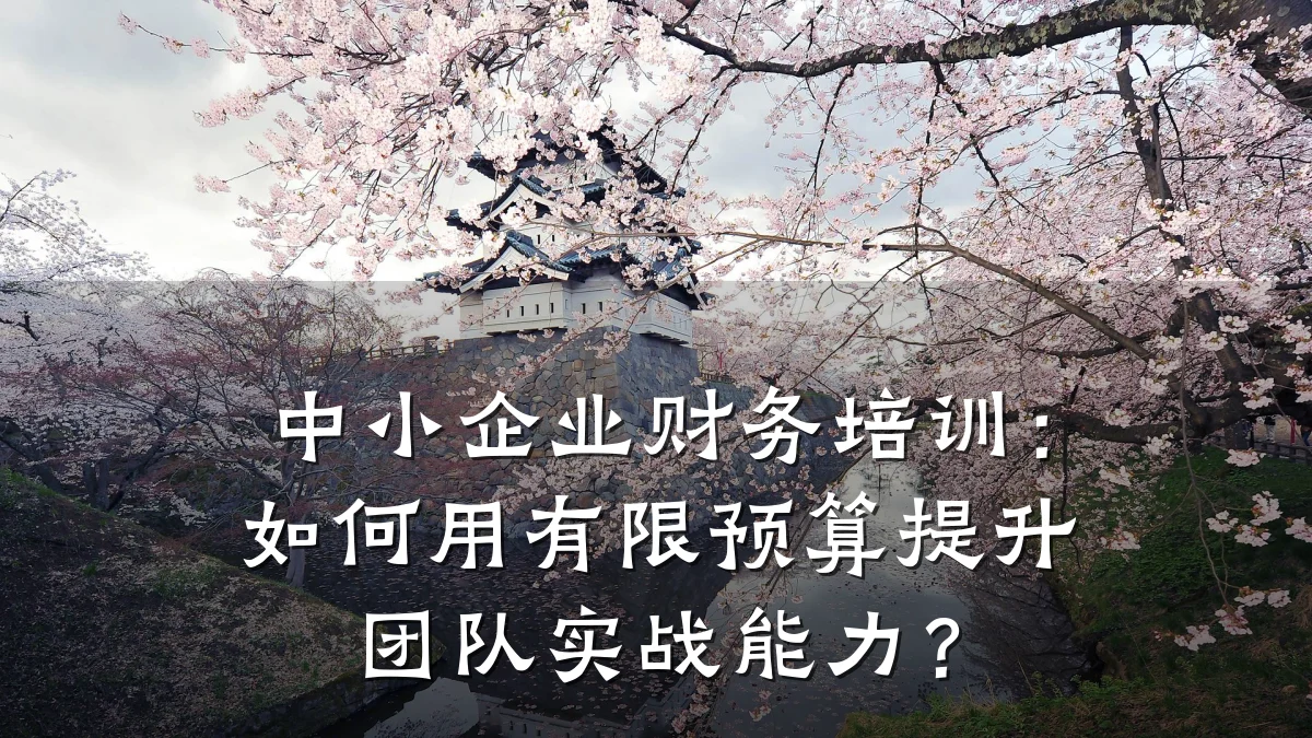 中小企业财务培训:如何用有限预算提升团队实战能力?