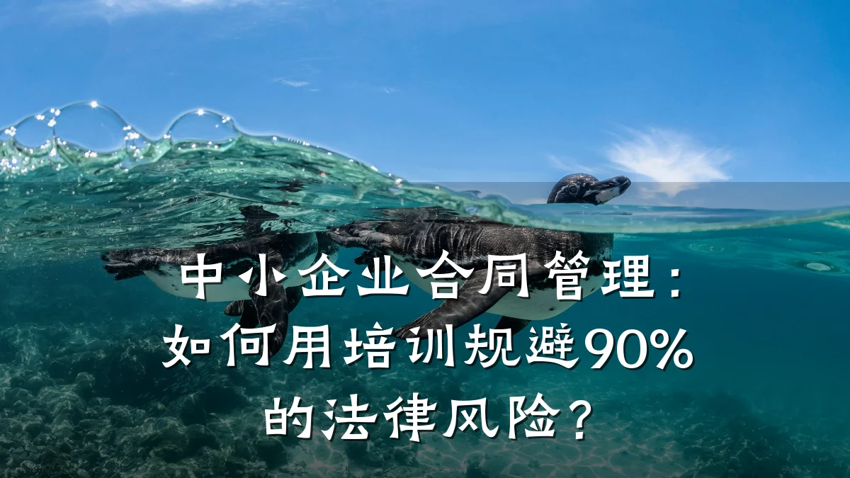 中小企业合同管理:如何用培训规避90%的法律风险?