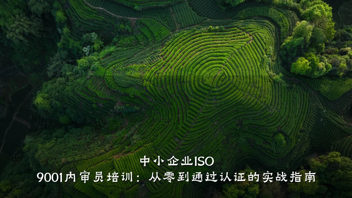 中小企业ISO 9001内审员培训:从零到通过认证的实战指南