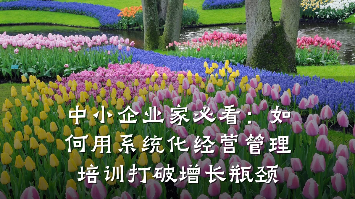 中小企业家必看:如何用系统化经营管理培训打破增长瓶颈