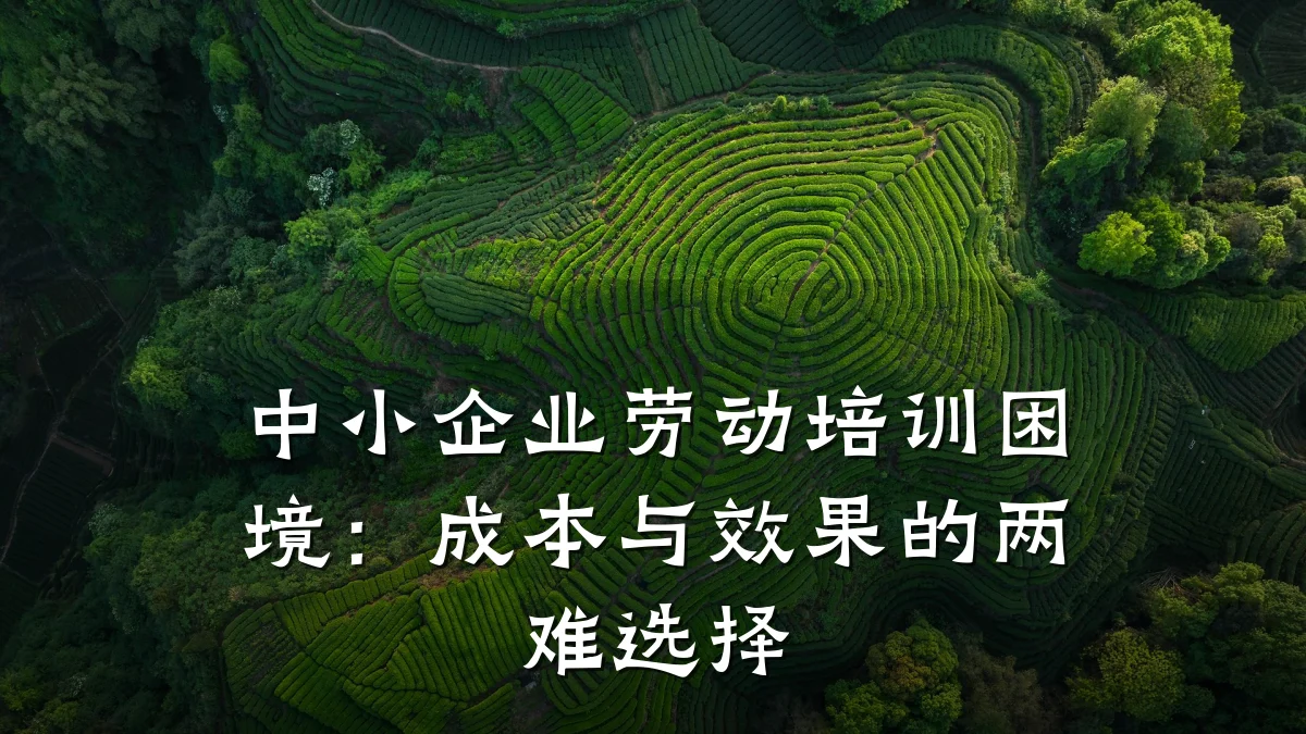 中小企业劳动培训困境:成本与效果的两难选择