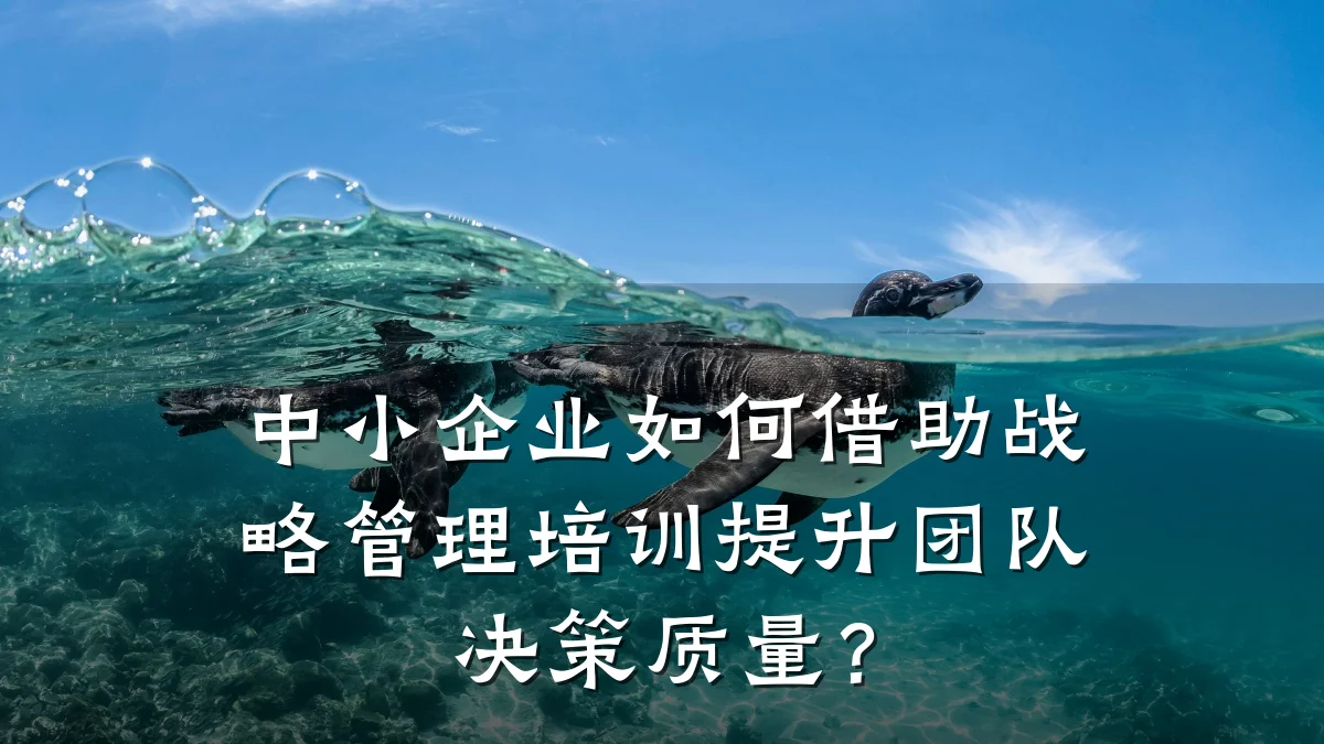 中小企业如何借助战略管理培训提升团队决策质量?