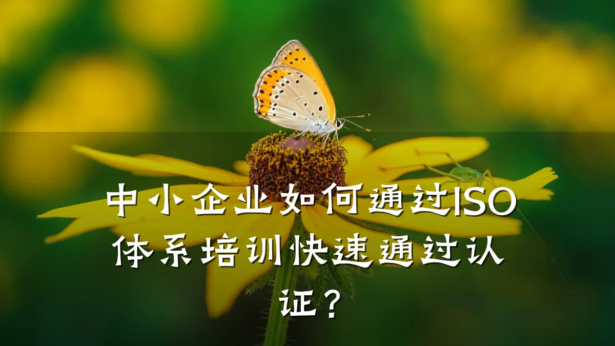 中小企业如何通过ISO体系培训快速通过认证?