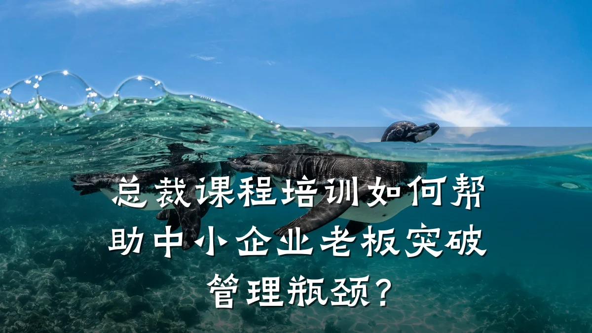 总裁课程培训如何帮助中小企业老板突破管理瓶颈?