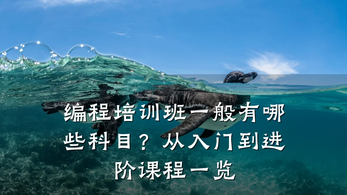 编程培训班一般有哪些科目?从入门到进阶课程一览