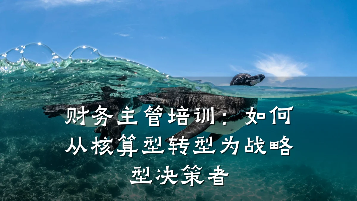 财务主管培训:如何从核算型转型为战略型决策者