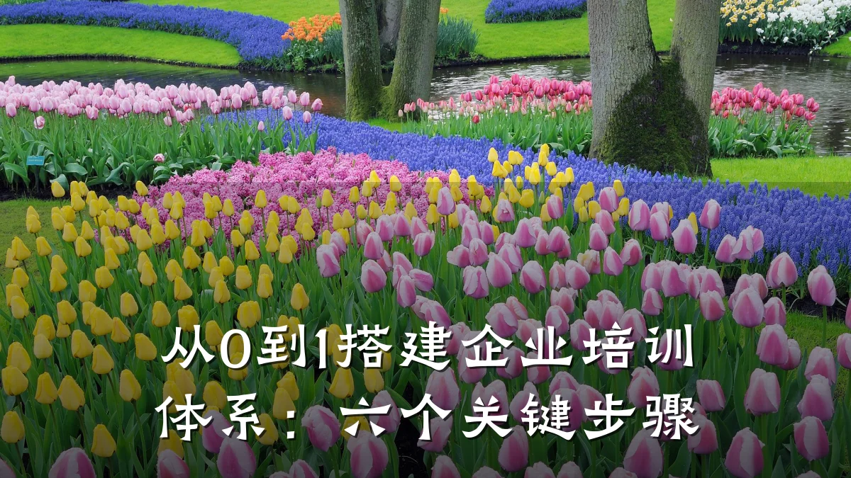 从0到1搭建企业培训体系:六个关键步骤