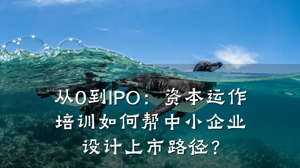 从0到IPO:资本运作培训如何帮中小企业设计上市路径?